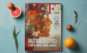 Euronovis intervista Mattia Spoldi NCF